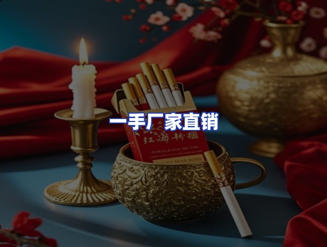 专业团队